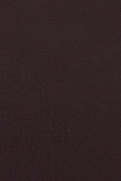Shop Nanushka Kisa Vegan Leather Maxi Pants - Aubergine In Purple