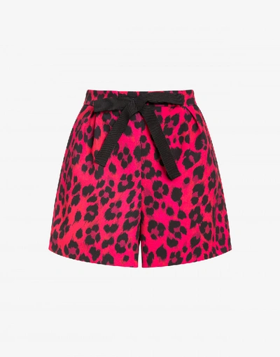 Shop Boutique Moschino Cady Leopard Print Shorts In Red