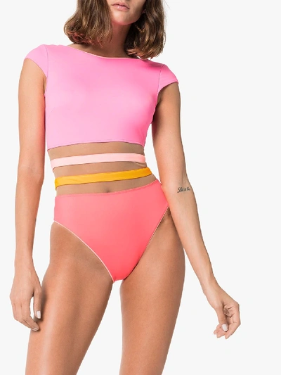 Shop Agent Provocateur Zenaya Short Sleeve Swimsuit In Pink
