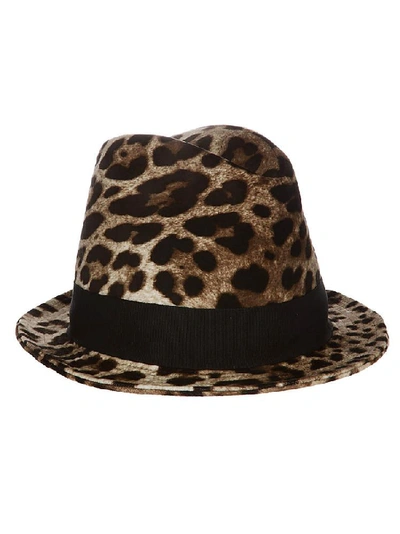 Shop Dolce & Gabbana Leopard Print Bow Detail Trilby Hat In Multi