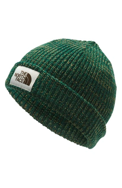 Shop The North Face Salty Dog Beanie - Green In New Taupe Green