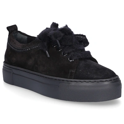 Shop Agl Attilio Giusti Leombruni Low-top Sneakers D925217 Suede In Black