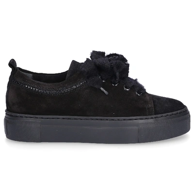 Shop Agl Attilio Giusti Leombruni Low-top Sneakers D925217 Suede In Black