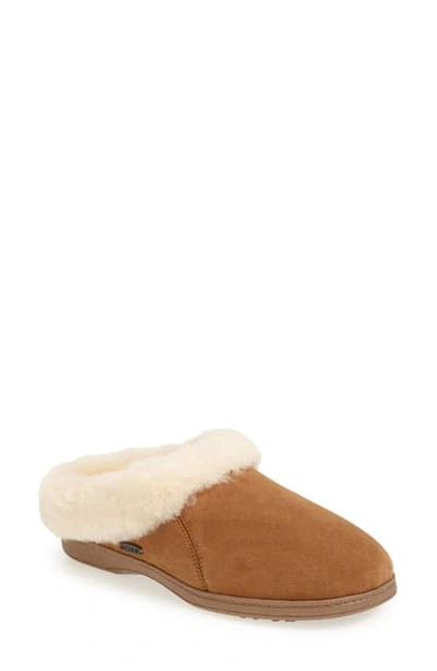 Shop Acorn 'ewe Collar' Genuine Sheepskin Mule Slipper In Walnut