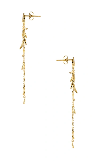 Shop Gorjana Willow Earrings In Gold