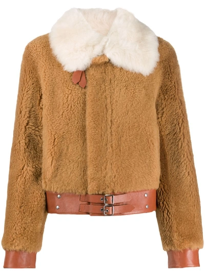 Shop Coach Buckled Shearling Jacket In Brown