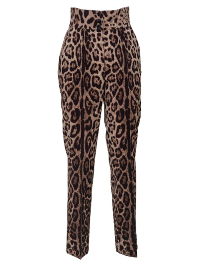 Shop Dolce & Gabbana Pantaloni In M Leo New