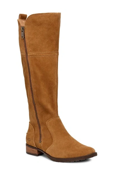 Shop Ugg Sorensen Knee High Boot In Chestnut Suede