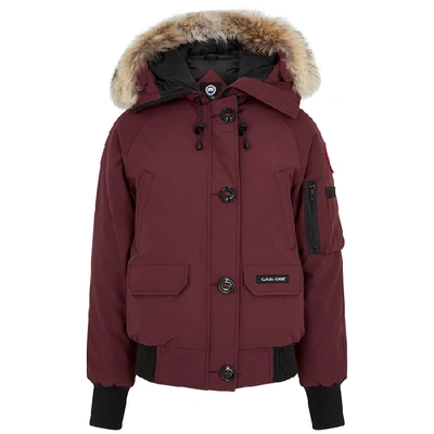 Shop Canada Goose Chilliwack Dark Red Fur-trimmed Jacket