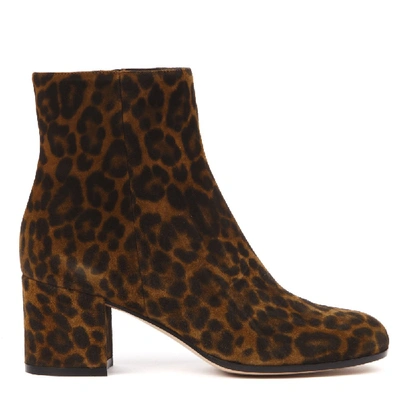 Shop Gianvito Rossi Leopard Suede Printed Ankle Boots In Black