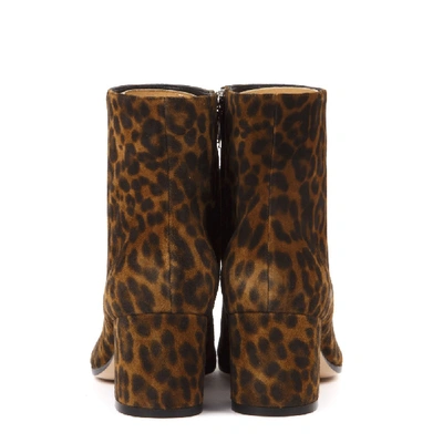 Shop Gianvito Rossi Leopard Suede Printed Ankle Boots In Black