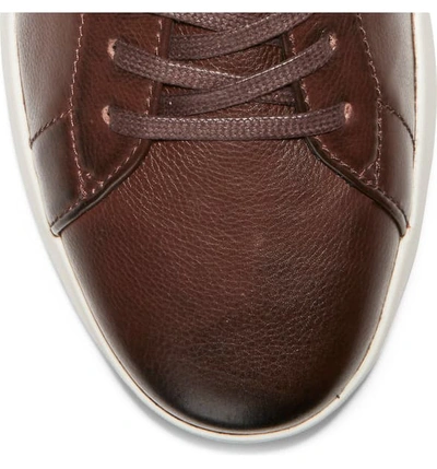 Shop Cole Haan Grandpro Low Top Sneaker In Burnished Wine Leather/ Walnut
