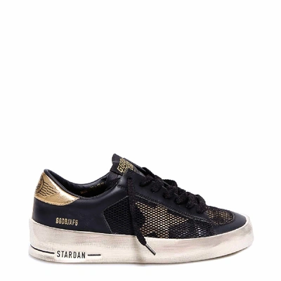 Shop Golden Goose Stardan Sneakers In Black