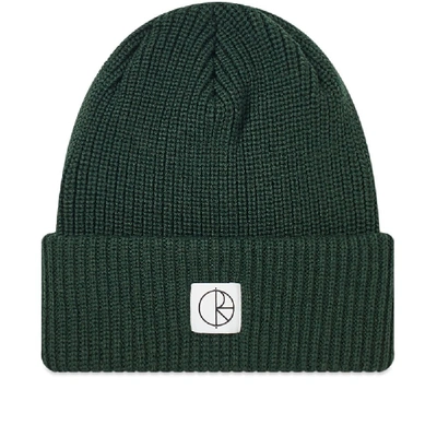 Shop Polar Skate Co . Double Fold Merino Beanie In Green