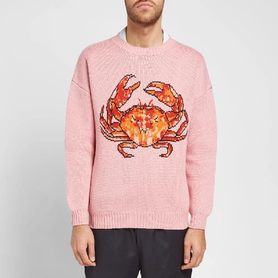 Shop Casablanca Crab Crew Knit In Pink