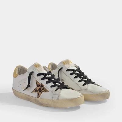 Shop Golden Goose Superstar Trainers In White And Gold Leather With Leopard Printed Star