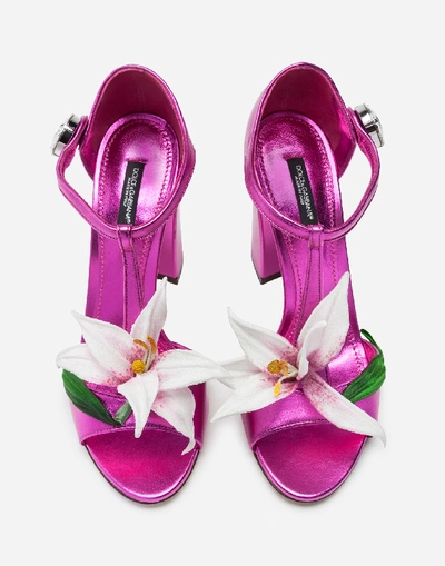 Shop Dolce & Gabbana Mordore Nappa Sandals With Embroidery In Fuchsia