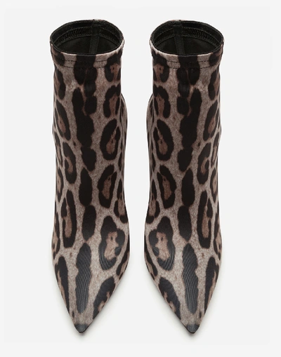 Shop Dolce & Gabbana Leopard-print Jersey Ankle Boots In Leo Print