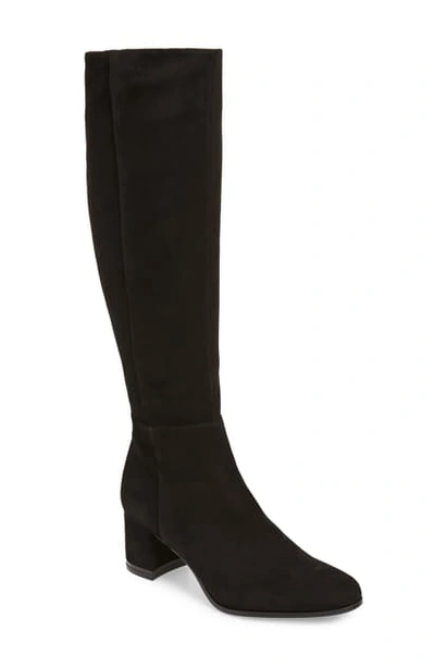 Shop Calvin Klein Freeda Knee High Boot In Black Suede