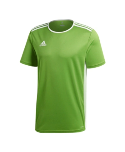 Shop Adidas Originals Adidas Men's Entrada Climalite Soccer Shirt In Rave Green/white