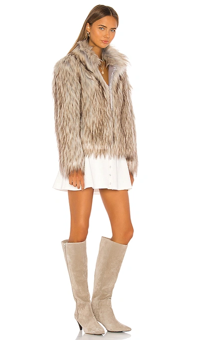 Shop Unreal Fur Faux Fur Jacket In Tan