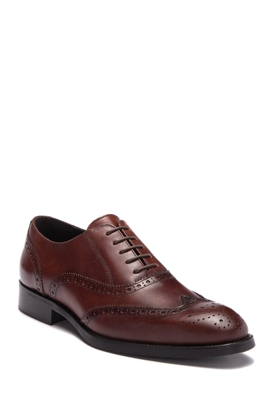 Shop To Boot New York Bello Wingtip Leather Oxford In Bruciato