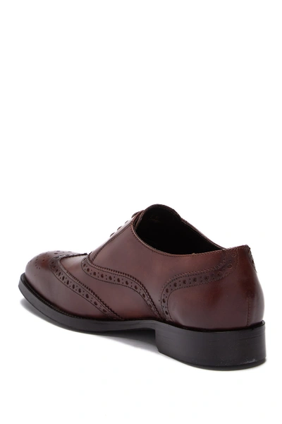 Shop To Boot New York Bello Wingtip Leather Oxford In Bruciato