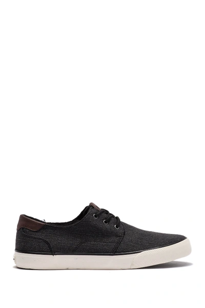 Shop Andrew Marc Briggs Low Top Sneaker In Blk/swh/o