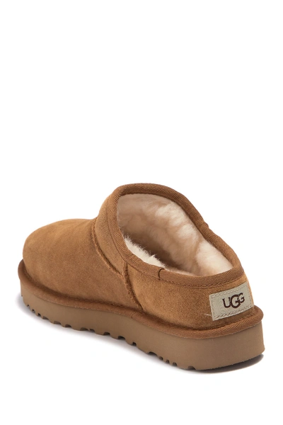 Shop Ugg Classic Slipper In Che