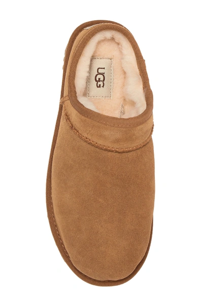 Shop Ugg Classic Slipper In Che