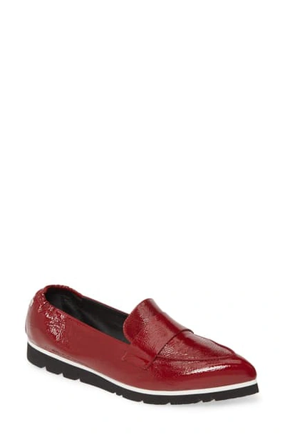 Shop Agl Attilio Giusti Leombruni Micro Pointed Toe Loafer In Chianti Glammy