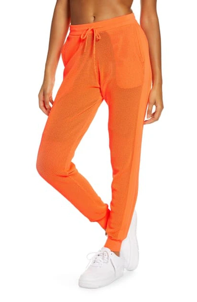 Shop Adam Selman Sport Knit Mesh Sweatpants In Hazard