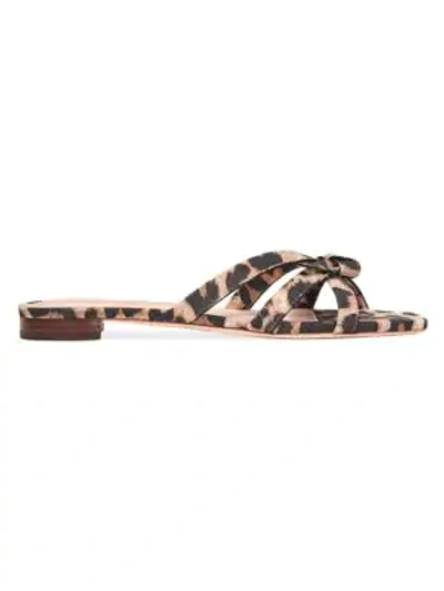 Shop Loeffler Randall Eveline Knotted Leopard-print Suede Flat Sandals