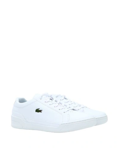 Shop Lacoste Sneakers In White