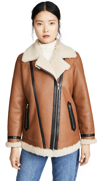 Shop Veda Mesquite Shearling Jacket In Tan/cream