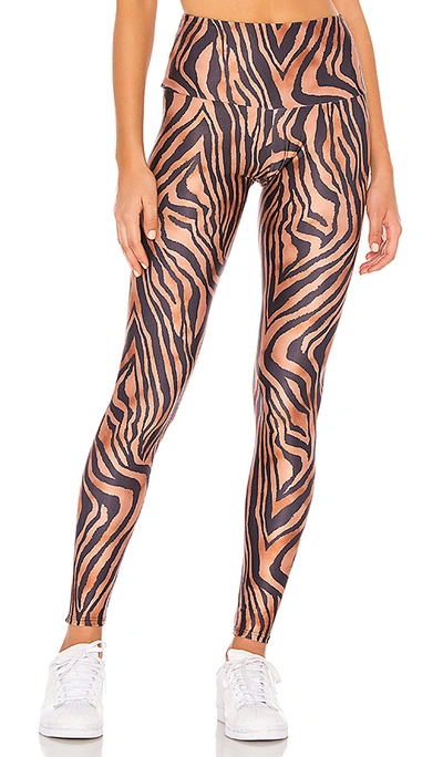 Shop Onzie High Rise Legging In Tiger