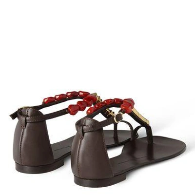 Shop Giuseppe Zanotti E50169002 Sandals In Dark Brown