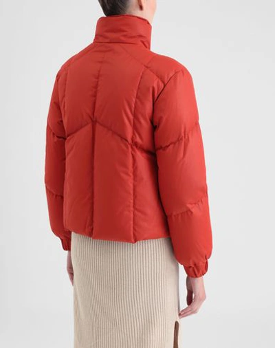 Shop See By Chloé Down Jackets In Rust