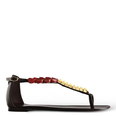 Giuseppe Zanotti E50169002 Sandals In Dark Brown