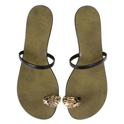 Shop Giuseppe Zanotti E50136001 Sandals In Dark Brown