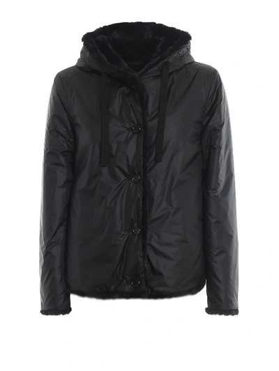 Shop Aspesi Panzerotto Black Reversible Padded Jacket