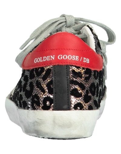 Shop Golden Goose Superstar Sneakers In Leopard