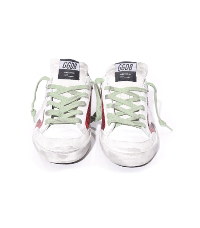 Shop Golden Goose Superstar Sneakers In Multicolor Snake/white Star