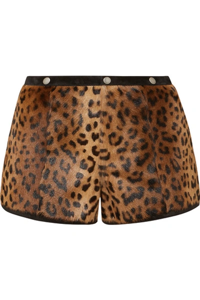 Shop Saint Laurent Suede-trimmed Leopard-print Goat Hair Shorts In Leopard Print