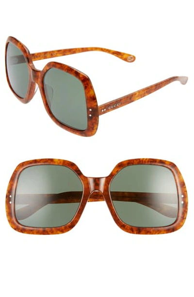 Shop Gucci 58mm Irregular Square Sunglasses In Havana/ Green Solid