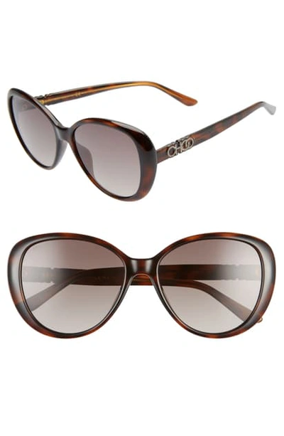 Shop Jimmy Choo Amira 57mm Gradient Cat Eye Sunglasses In Dkhavana/ Brown Gradient