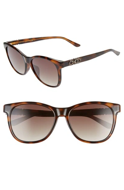 Shop Jimmy Choo June 56mm Special Fit Sunglasses In Dkhavana/ Brown Gradient