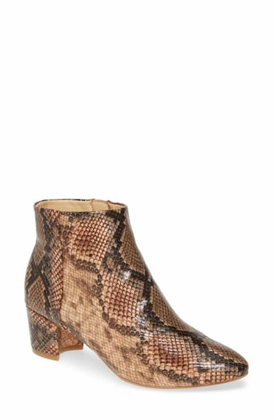 Shop Katy Perry The Rich Snake Print Bootie In Natural Multi Snake Print Leat