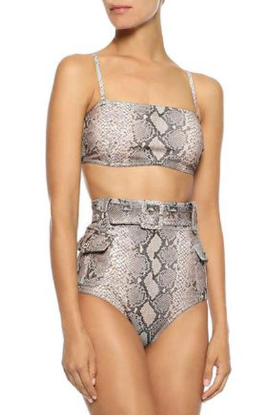 Shop Zimmermann Corsage Safari Belted Bandeau Bikini In Animal Print