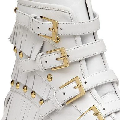 Shop Giuseppe Zanotti Amber Sneakers In White